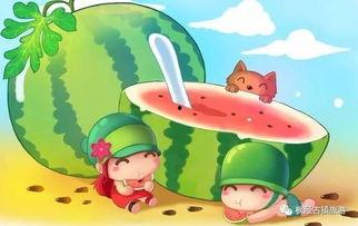 娱乐吃瓜君和罗小猫,揭秘娱乐圈背后的趣味故事  第2张