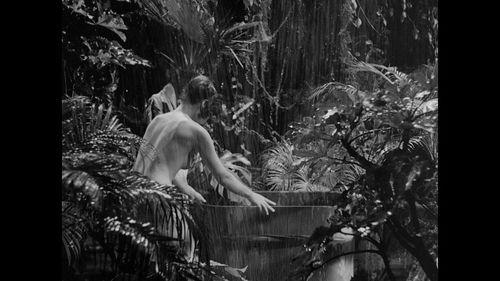 安纳塔汉 在线观看,安纳塔汉生存传奇在线观看  第1张